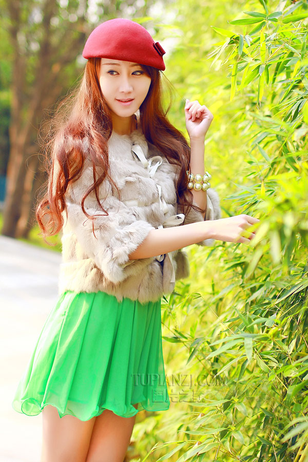 春天里的故事作文